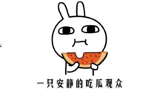 吃瓜事件什么意思